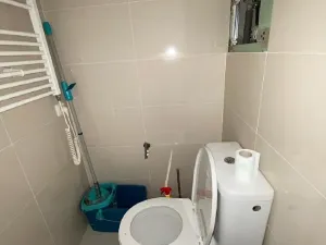 Pronájem bytu 1+1, Praha - Žižkov, Pod lipami, 38 m2