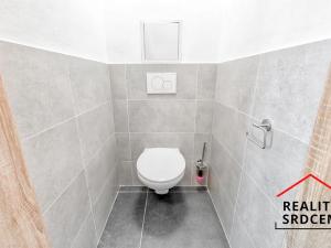 Pronájem bytu 1+1, Děhylov, Výstavní, 41 m2