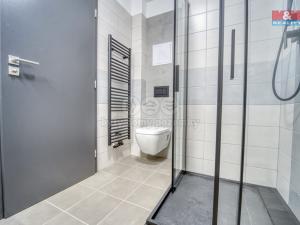 Pronájem bytu 2+kk, Plzeň - Újezd, Rubínová, 47 m2