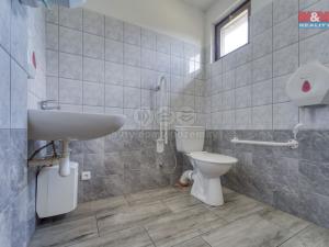 Prodej obchodního prostoru, Starý Kolín, Za poštou, 3398 m2