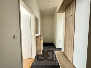 Pronájem bytu 2+kk, Brno, Cejl, 50 m2