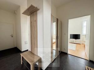 Pronájem bytu 2+kk, Brno, Cejl, 50 m2