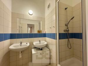 Pronájem bytu 2+kk, Brno, Cejl, 50 m2