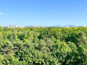 Pronájem bytu 1+kk, Ostrava, Čujkovova, 28 m2