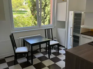 Pronájem bytu 1+1, Brno, Prokofjevova, 36 m2