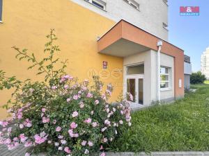 Pronájem bytu 1+kk, Praha, Hornoměcholupská, 32 m2