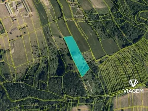 Prodej podílu pole, Nová Dědina, 660 m2