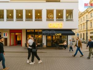 Pronájem restaurace, Plzeň - Vnitřní Město, Solní, 365 m2