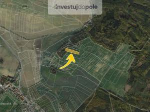 Prodej pole, Pavlice, 5226 m2