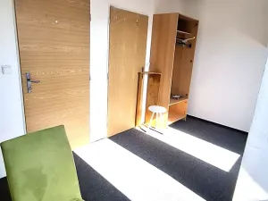 Pronájem pokoje, Plzeň, Klatovská třída, 16 m2