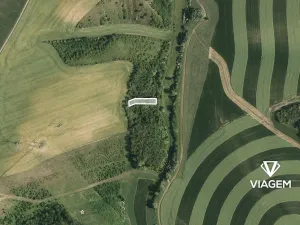 Prodej podílu lesa, Bošovice, 626 m2