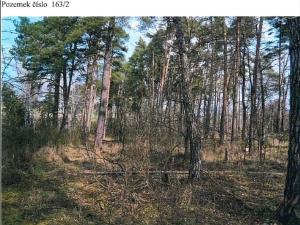 Prodej lesa, Osové, 21602 m2