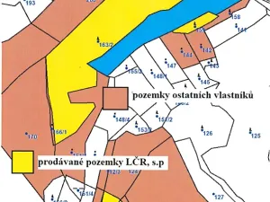Prodej lesa, Osové, 21602 m2