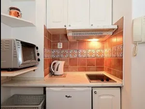 Pronájem bytu 1+kk, Praha - Střešovice, Myslbekova, 28 m2