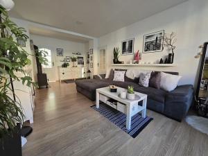 Pronájem bytu 3+kk, Moravské Budějovice, Myslbekova, 64 m2