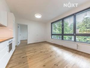 Pronájem bytu 2+kk, Praha - Nusle, Závišova, 48 m2