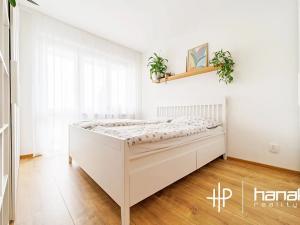 Pronájem bytu 3+1, Olomouc, Purkyňova, 68 m2