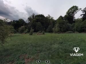 Prodej podílu lesa, Zlatá Olešnice, 481 m2