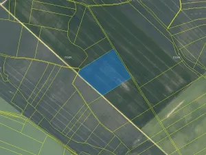 Prodej podílu pole, Moravské Budějovice, 7311 m2