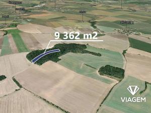 Prodej podílu lesa, Plaňany, 454 m2