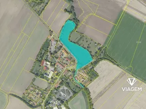 Prodej podílu lesa, Plaňany, 454 m2