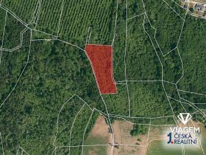 Prodej pole, Vinařice, 5664 m2