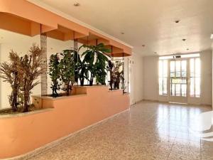 Prodej bytu 3+kk, Torrevieja, Španělsko, 45 m2