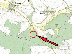 Prodej lesa, Štichov, 1133 m2