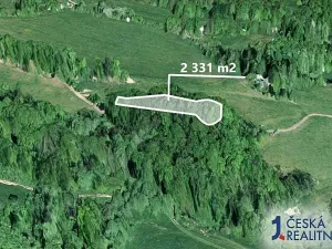 Prodej podílu lesa, Heřmanov, 777 m2