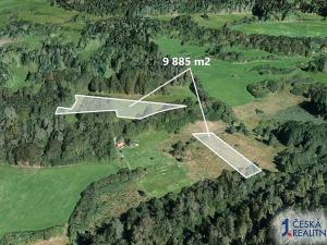 Prodej pole, Mlýnské Struhadlo, 9885 m2