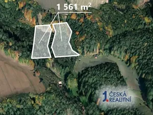 Prodej lesa, Mladějov, 1561 m2
