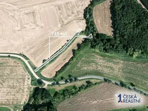 Prodej pole, Tuchořice, 731 m2