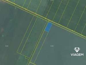 Prodej pole, Troskotovice, 4800 m2