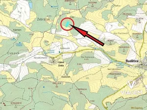 Prodej lesa, Budětice, 7622 m2