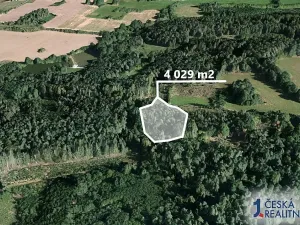 Prodej lesa, Pačejov, 4029 m2