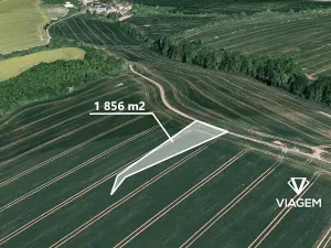 Prodej podílu pole, Zdounky, 618 m2