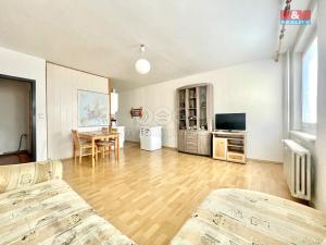 Prodej bytu 2+kk, Teplice - Trnovany, Arbesova, 47 m2