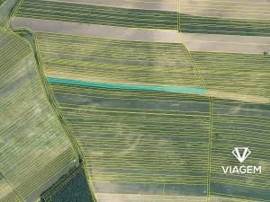 Prodej podílu pole, Javorník, 2061 m2