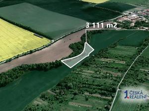 Prodej pole, Radějov, 3111 m2