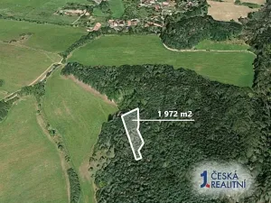 Prodej lesa, Švihov, 2192 m2