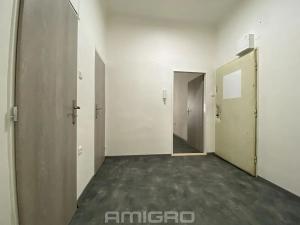 Pronájem bytu 2+1, Brno, Antonínská, 59 m2