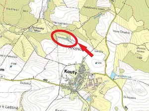 Prodej lesa, Kouty, 4229 m2