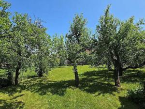 Prodej rodinného domu, Drásov, 60 m2