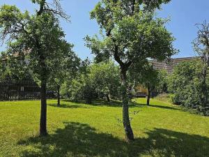 Prodej rodinného domu, Drásov, 60 m2