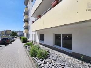 Prodej bytu 1+kk, Brno, Sentická, 68 m2