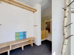 Prodej bytu 1+kk, Brno, Sentická, 68 m2