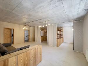 Prodej bytu 1+kk, Brno, Sentická, 68 m2