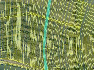 Prodej pole, Morkůvky, 4651 m2
