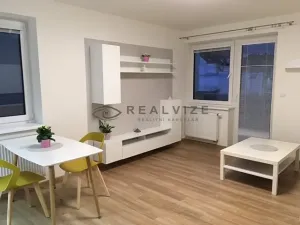 Pronájem bytu 1+kk, České Budějovice, B. Smetany, 33 m2