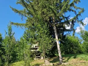 Prodej chaty, Hluk, 32 m2